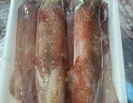 MỰC TRỨNG NHÁY SIZE 6-8 CON NET 8